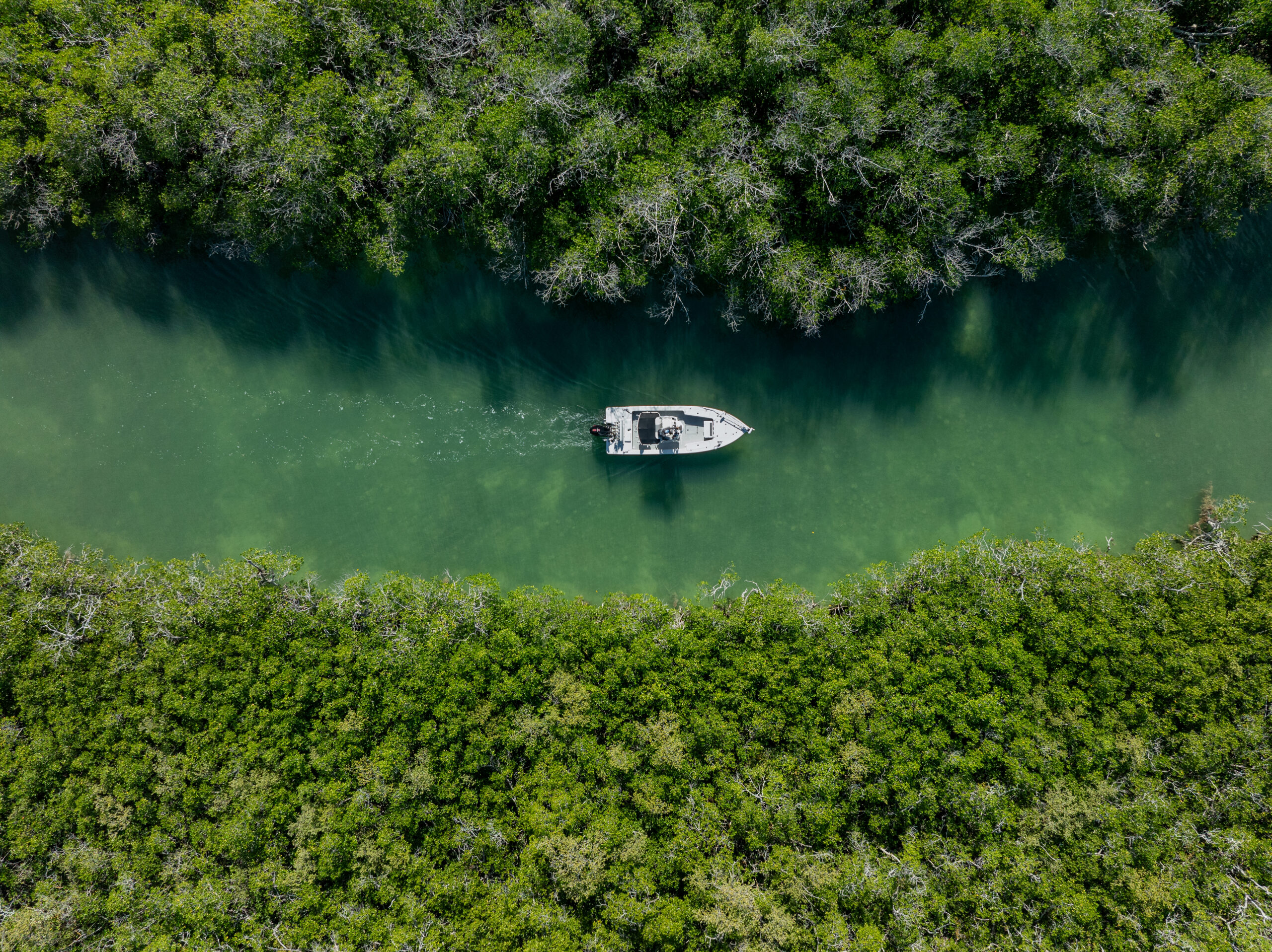 Gallery 18 DJI 0049 scaled