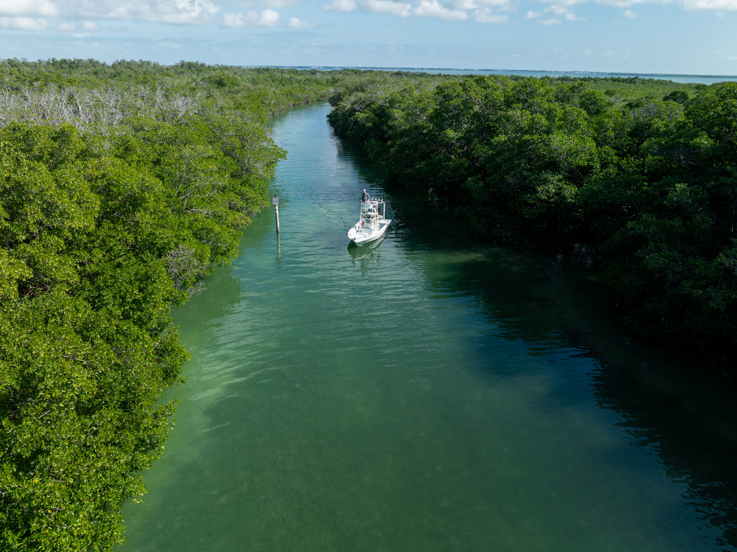 Gallery 19 DJI 0060 1 scaled