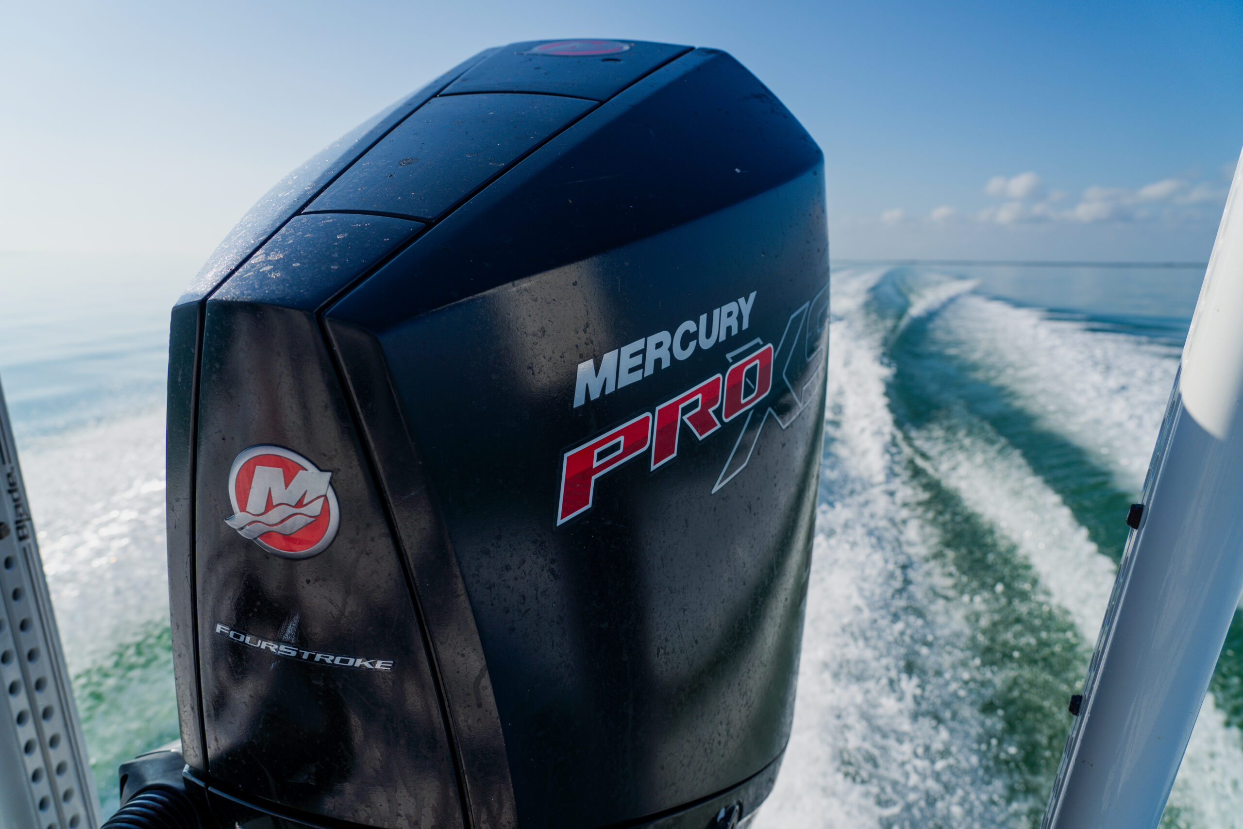 Gallery 28 DSC01003 1 scaled