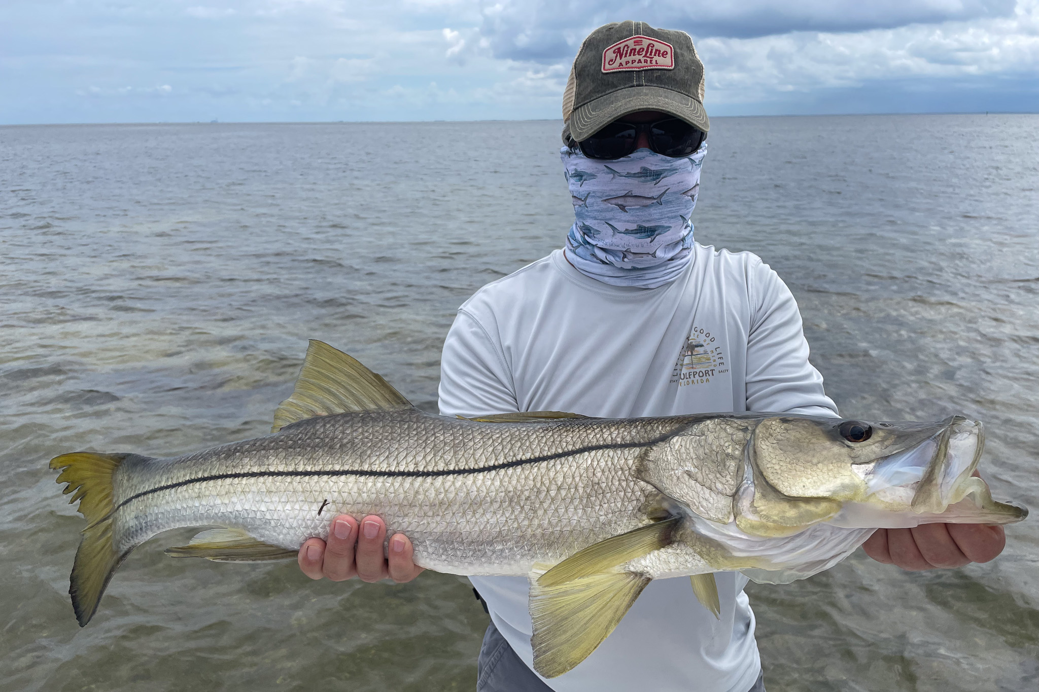 Gallery 53 IMG 0366 1