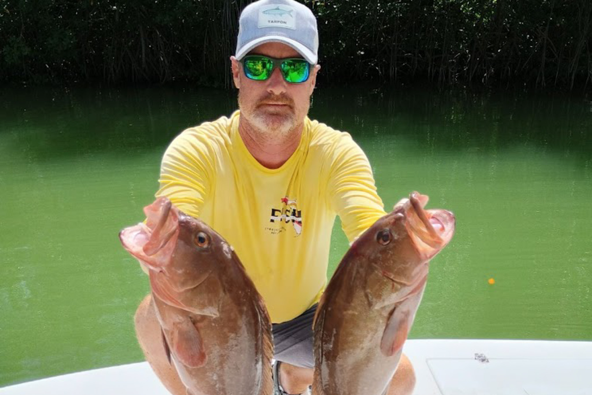 Gallery 30 IMG 0537 1