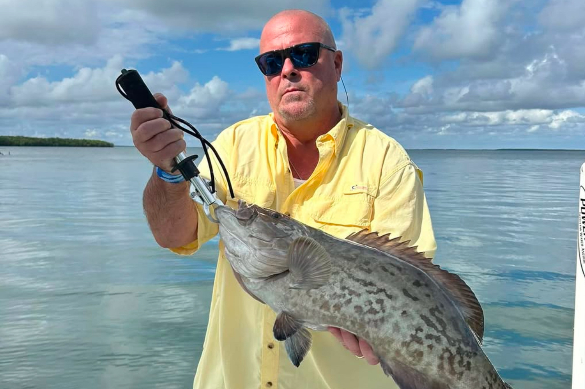 Gallery 33 IMG 0551 1