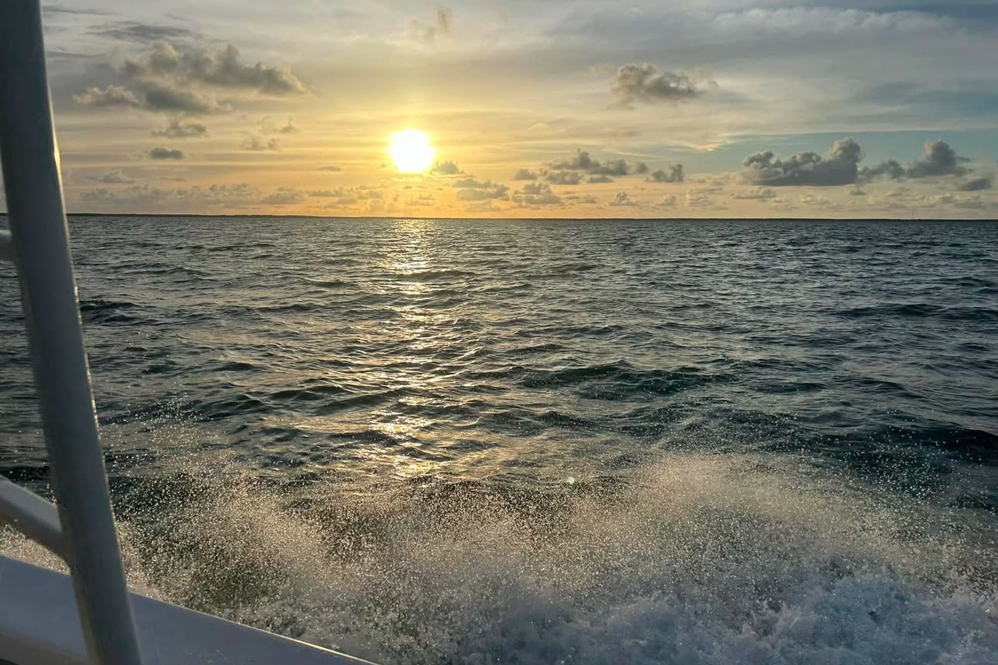 Gallery 36 IMG 0556 1