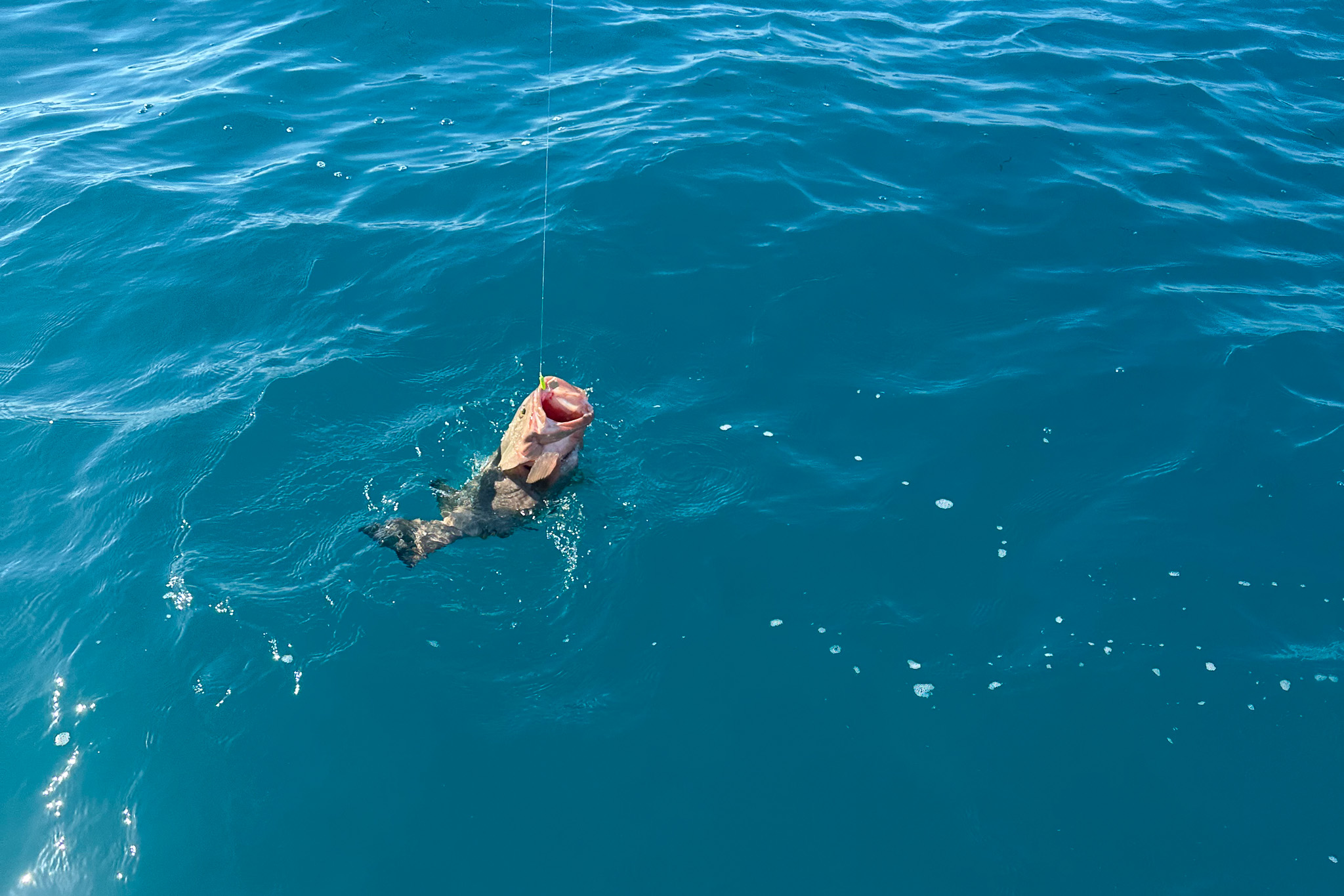 Gallery 55 IMG 2565 1