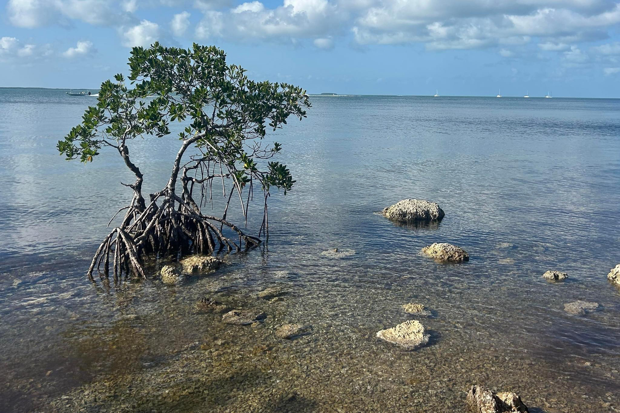 Gallery 56 IMG 3141 1