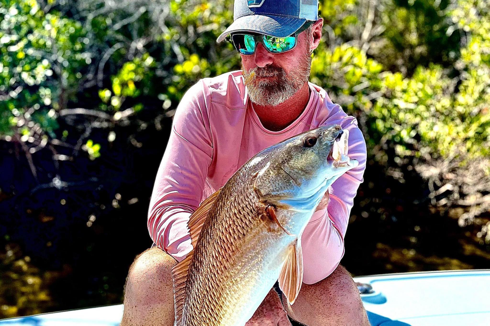 Gallery 58 IMG 3147 1