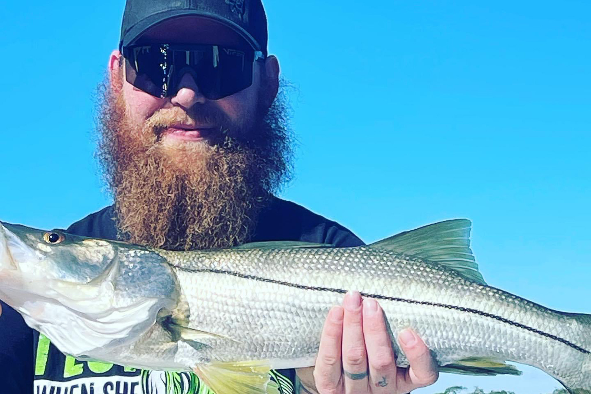 Gallery 59 IMG 3151 1