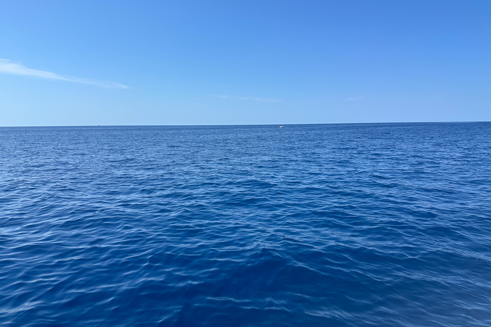 Gallery 47 IMG 3370 1