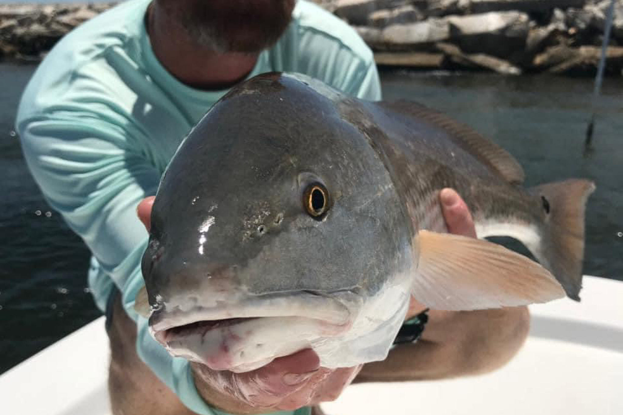 Gallery 89 IMG 3913 2