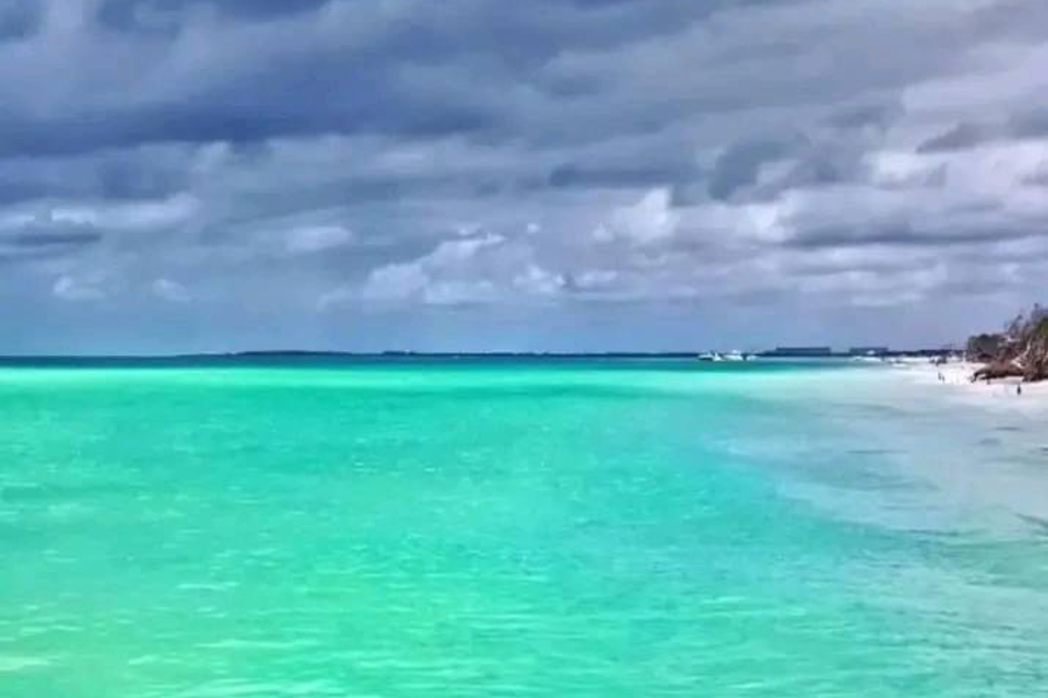 Gallery 49 IMG 4864 1