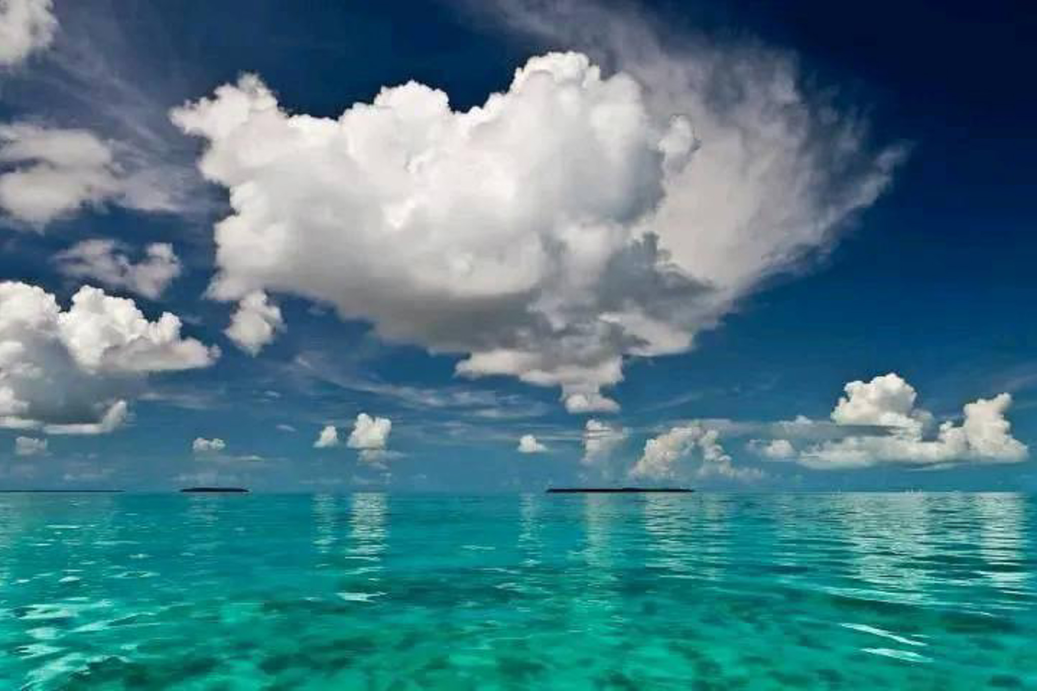 Gallery 50 IMG 4865 1