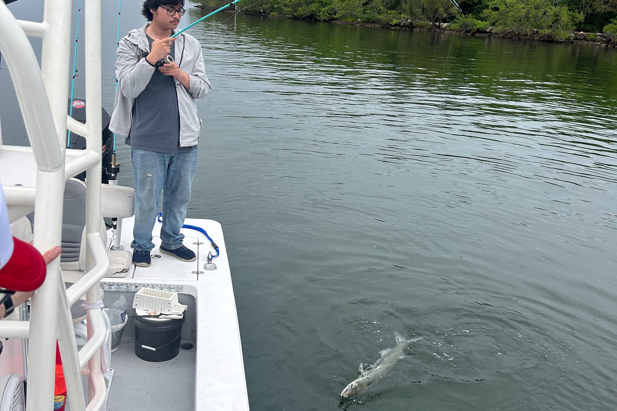 Gallery 81 IMG 6085 1