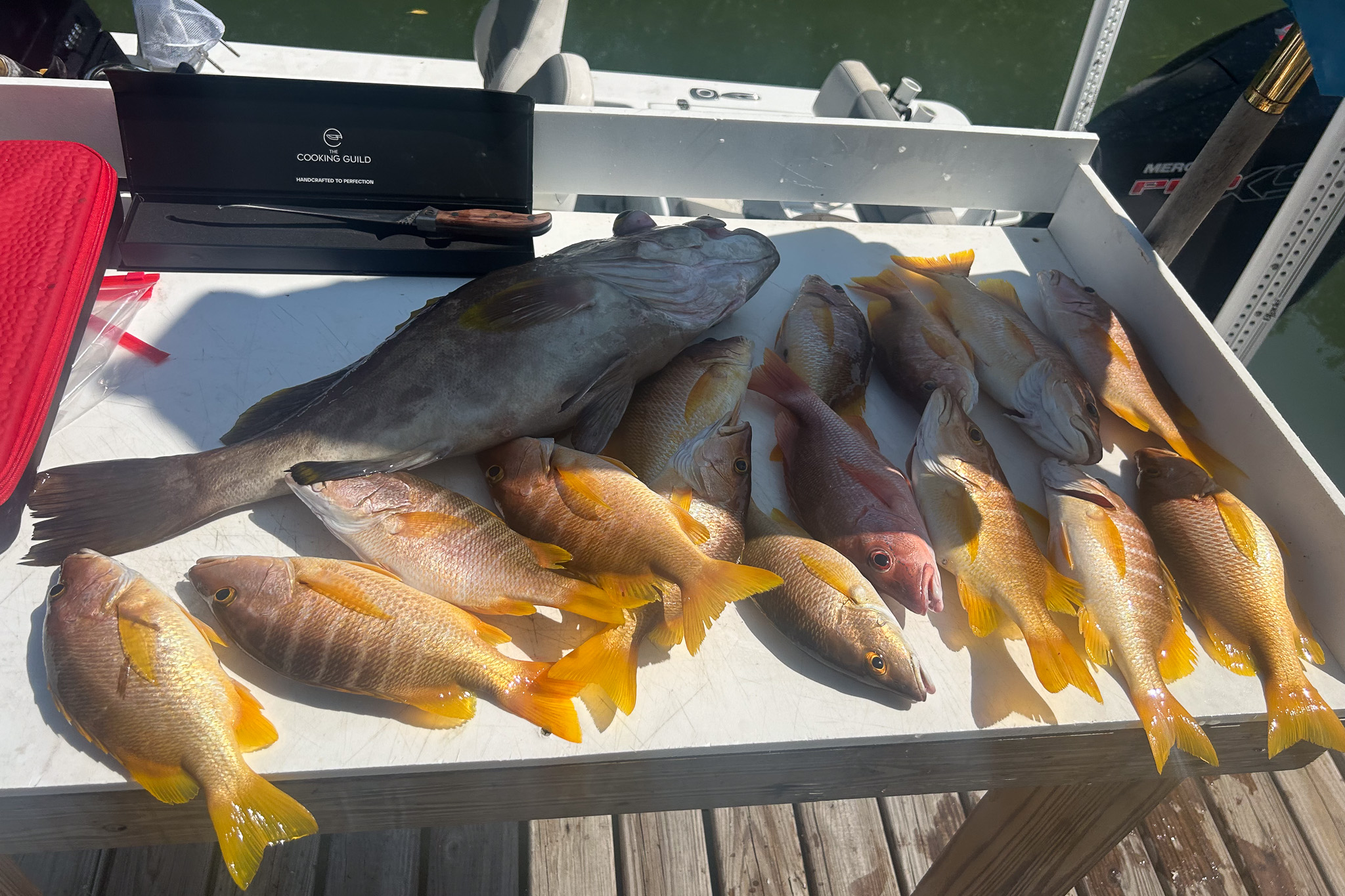 Gallery 82 IMG 6116 1