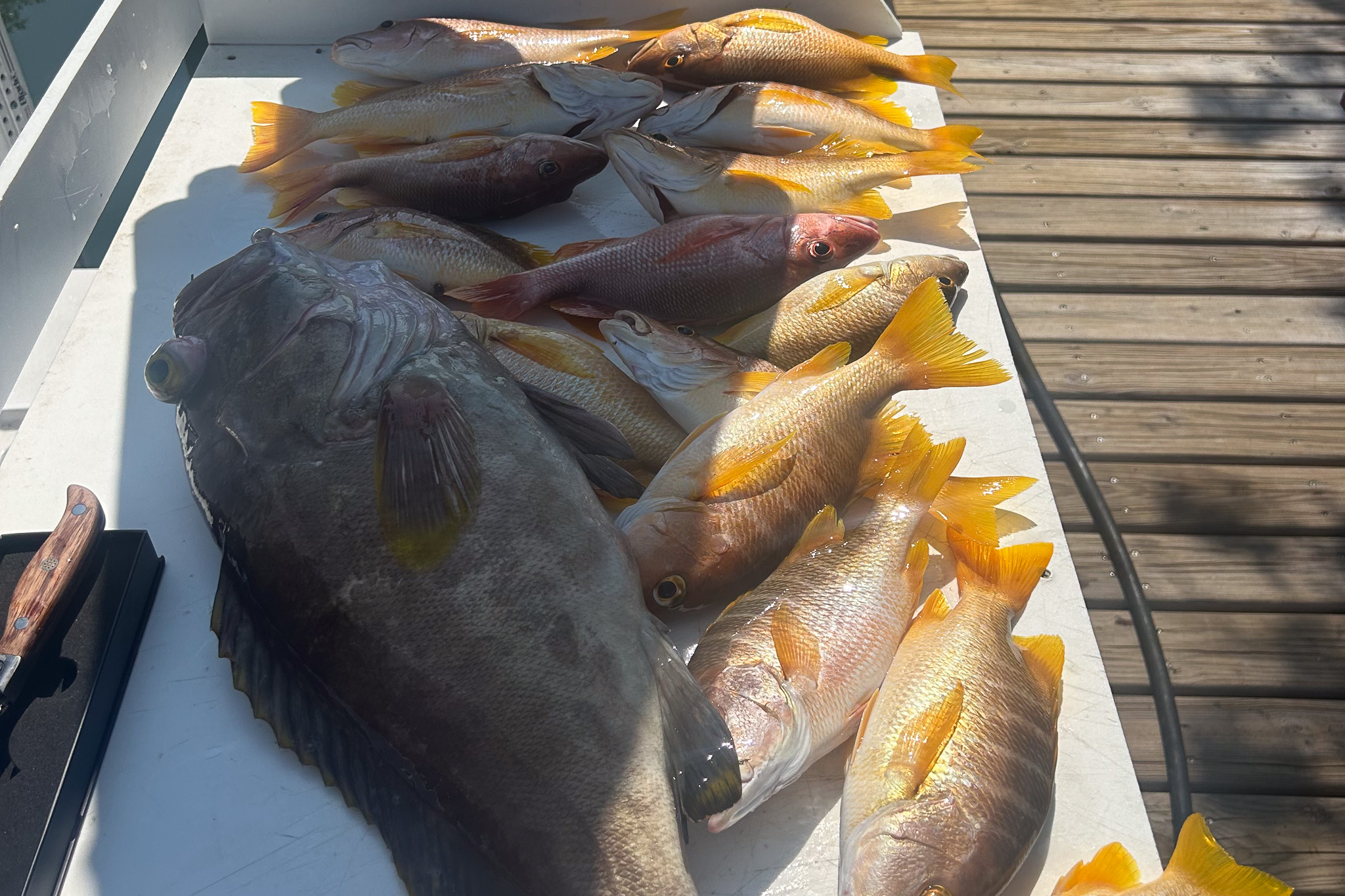 Gallery 83 IMG 6117 1