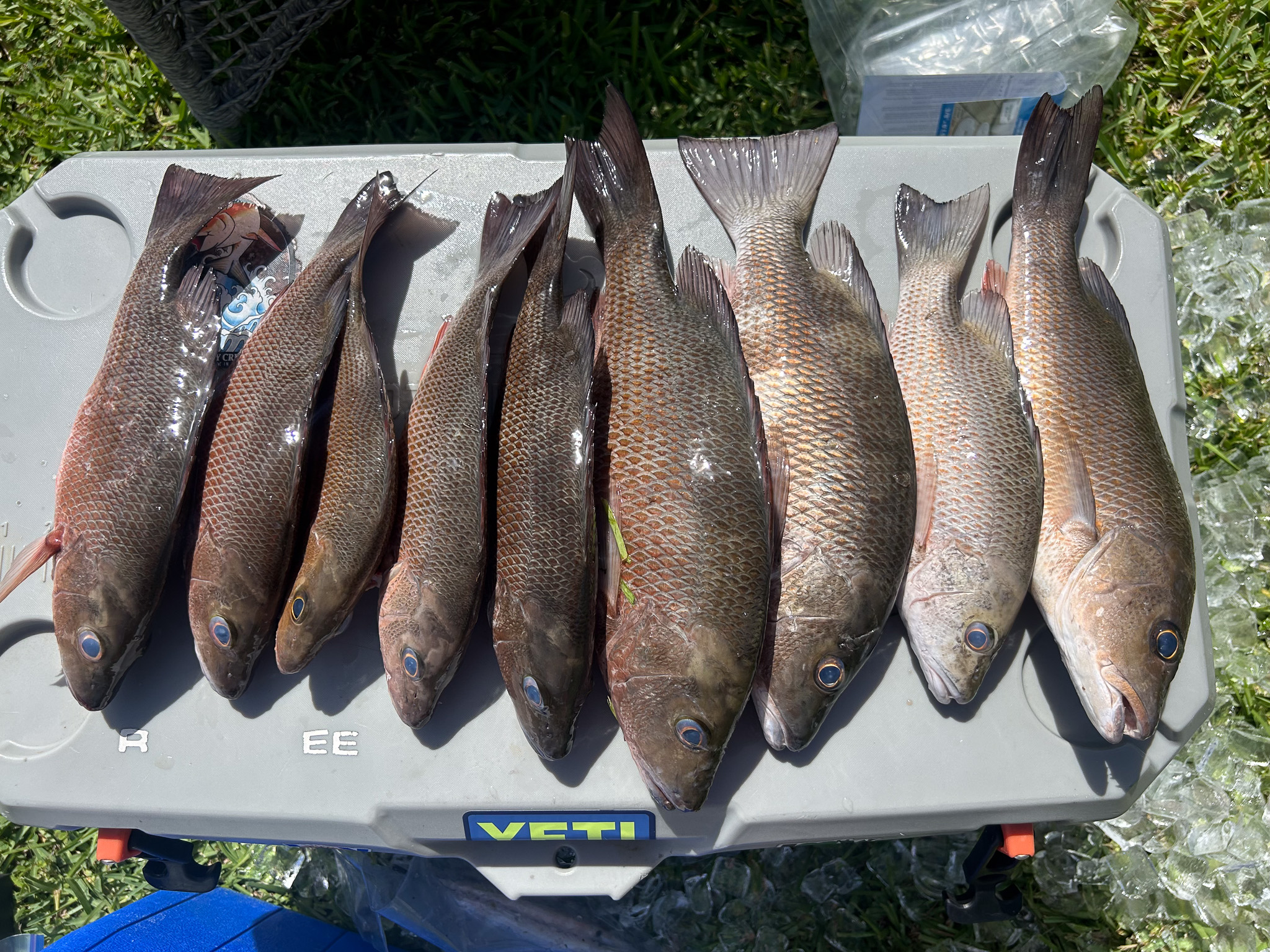 Gallery 69 IMG 6285 1