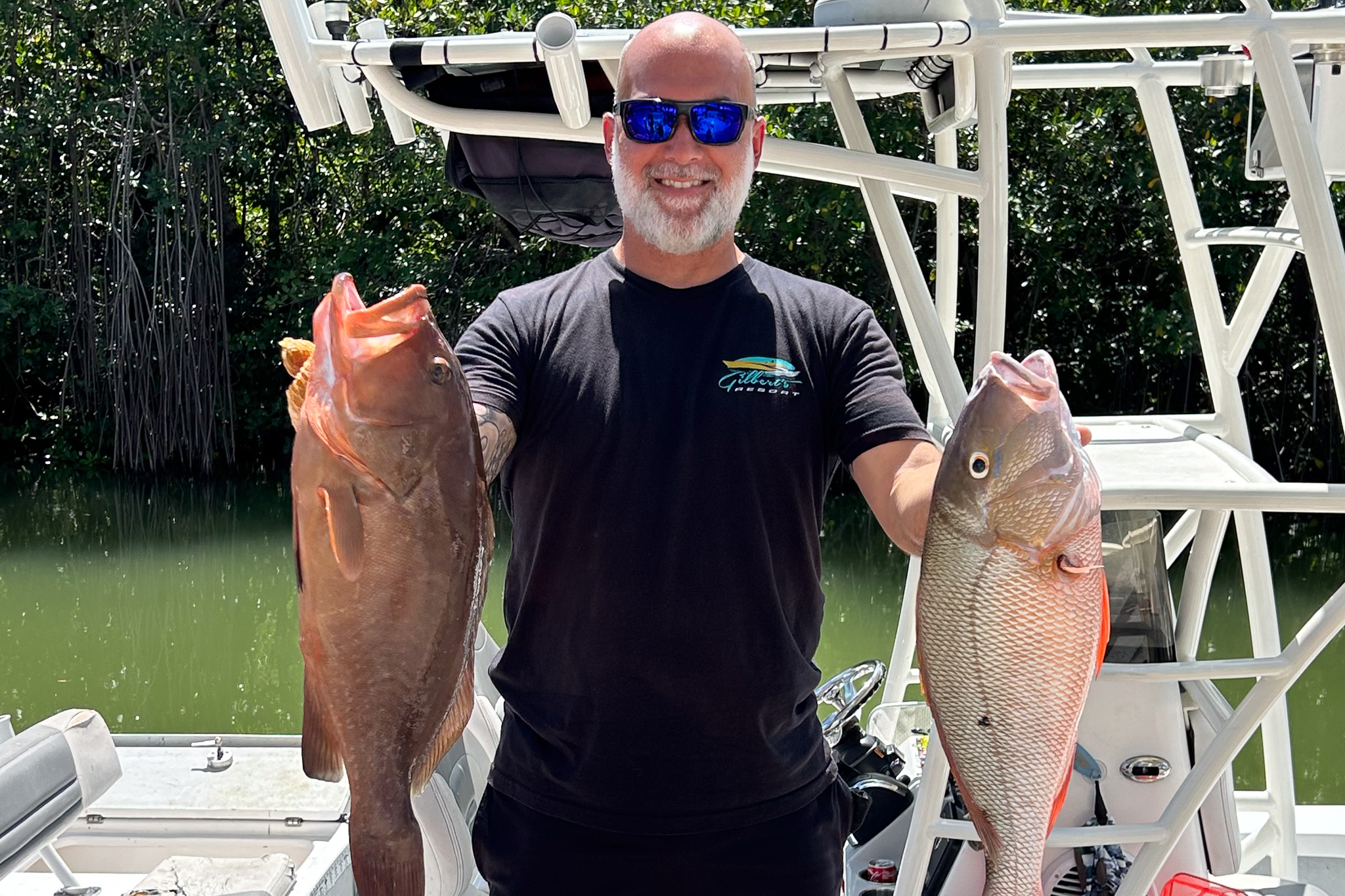 Gallery 71 IMG 6461 1