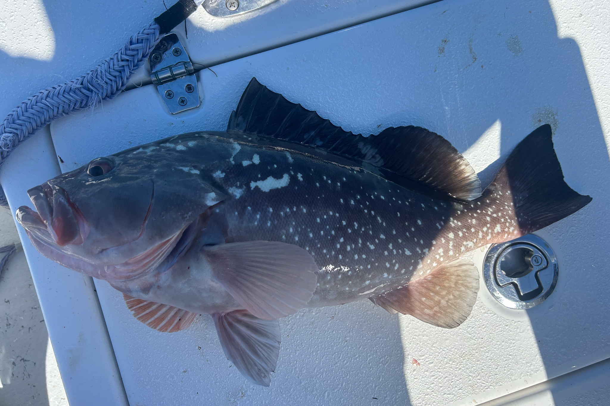 Gallery 72 IMG 6507 1