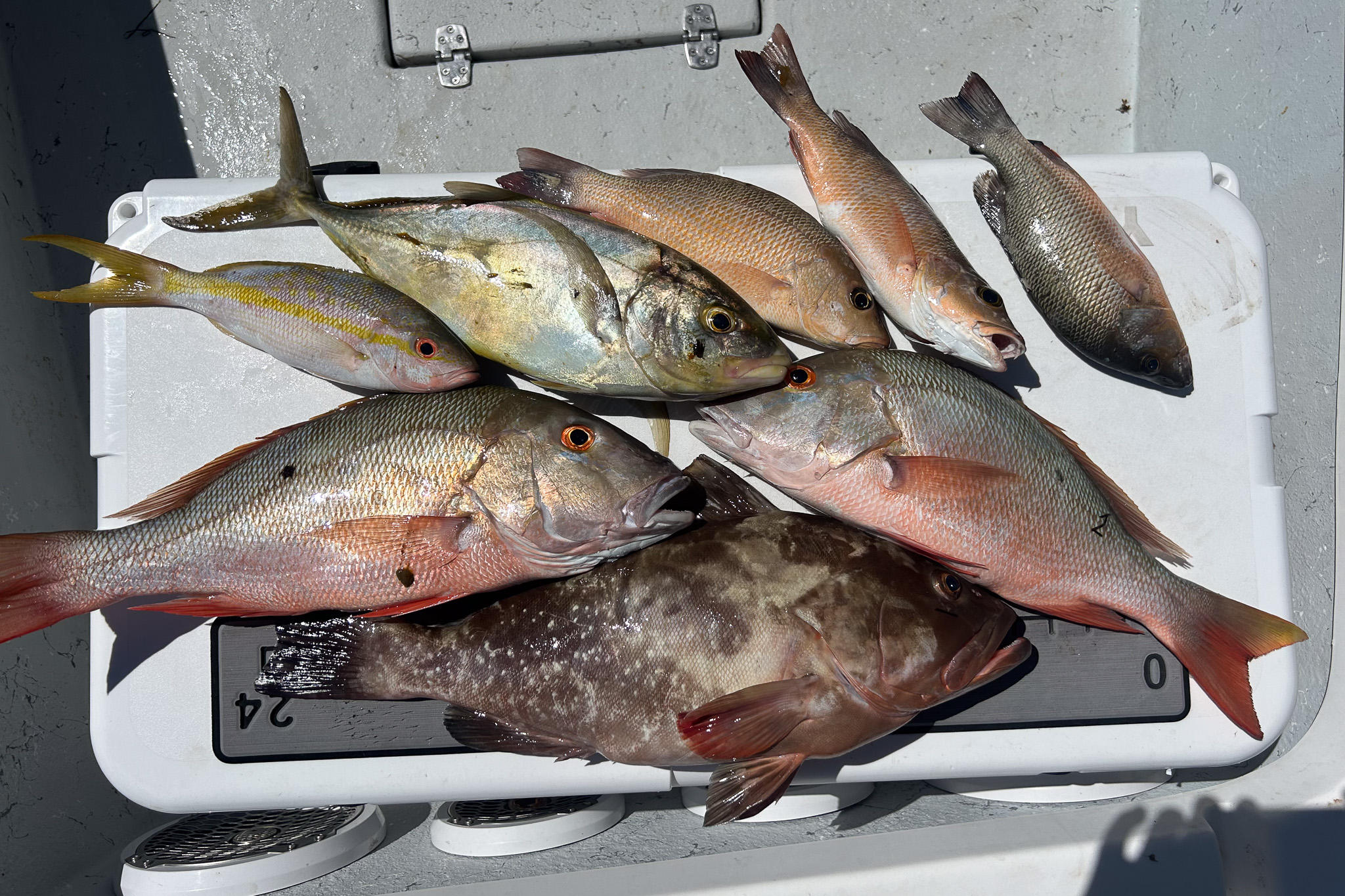 Gallery 62 IMG 6513 4 1