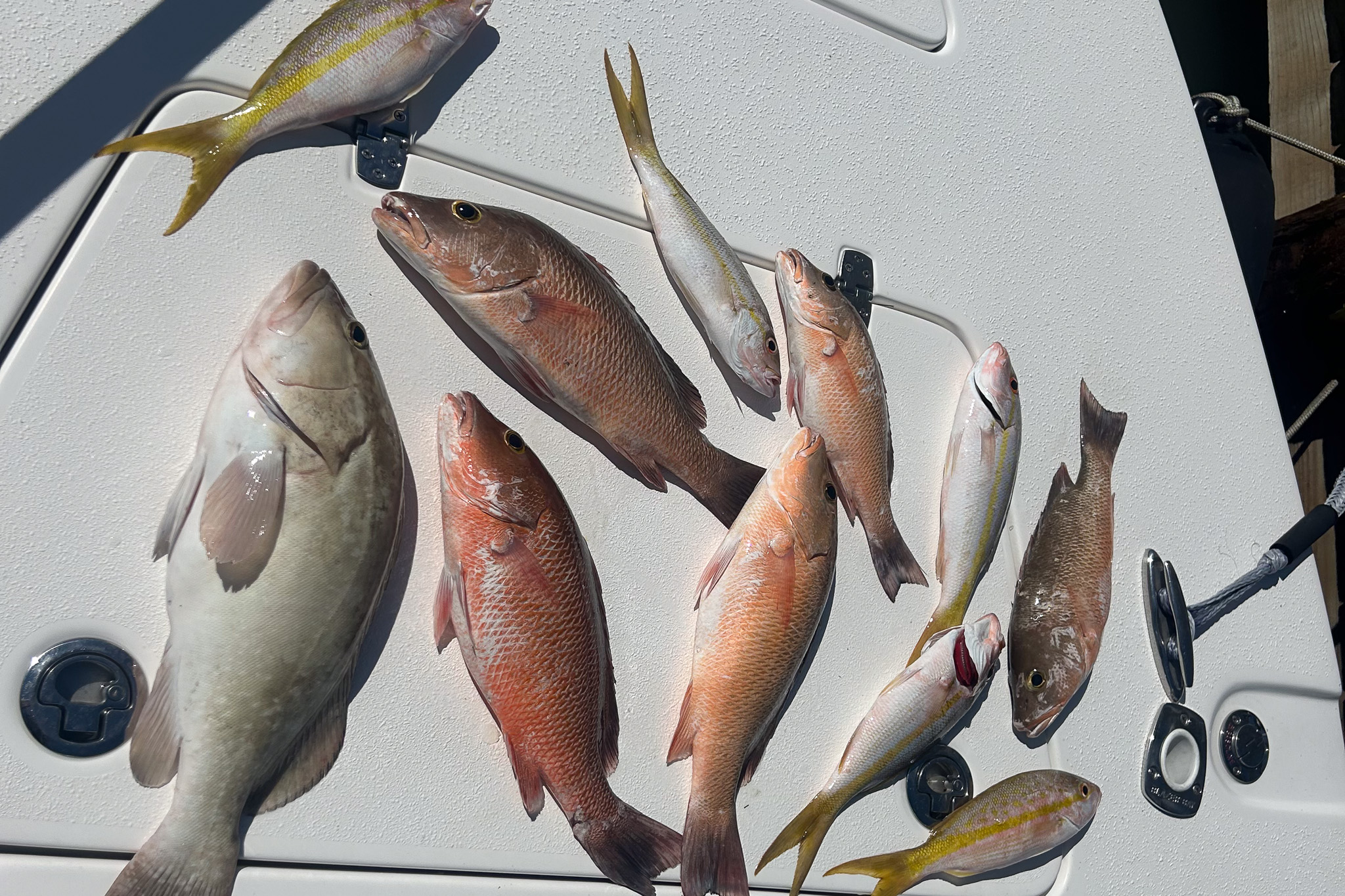 Gallery 52 IMG 6566 1