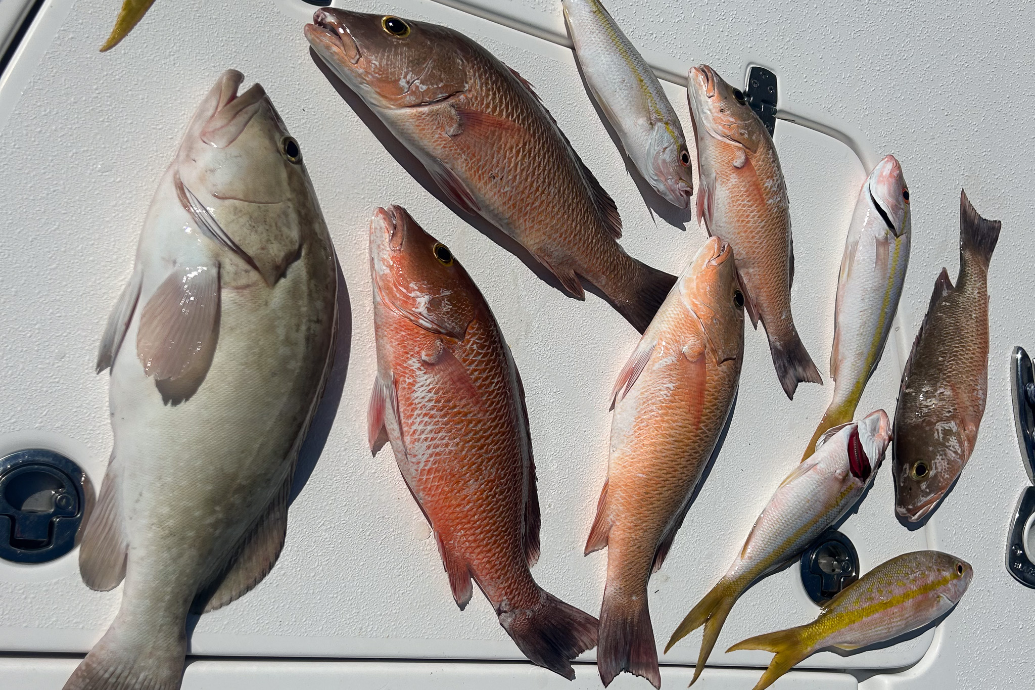 Gallery 73 IMG 6567 1