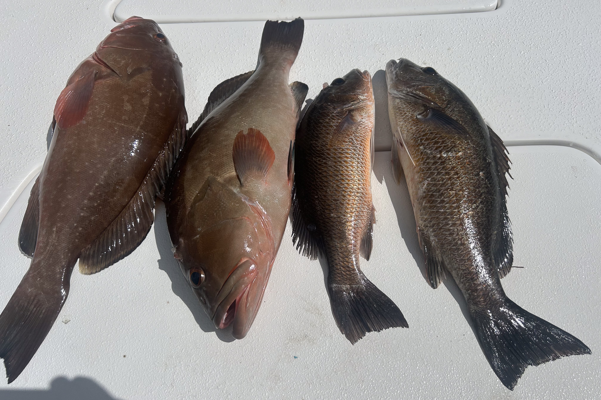 Gallery 39 IMG 6589 1