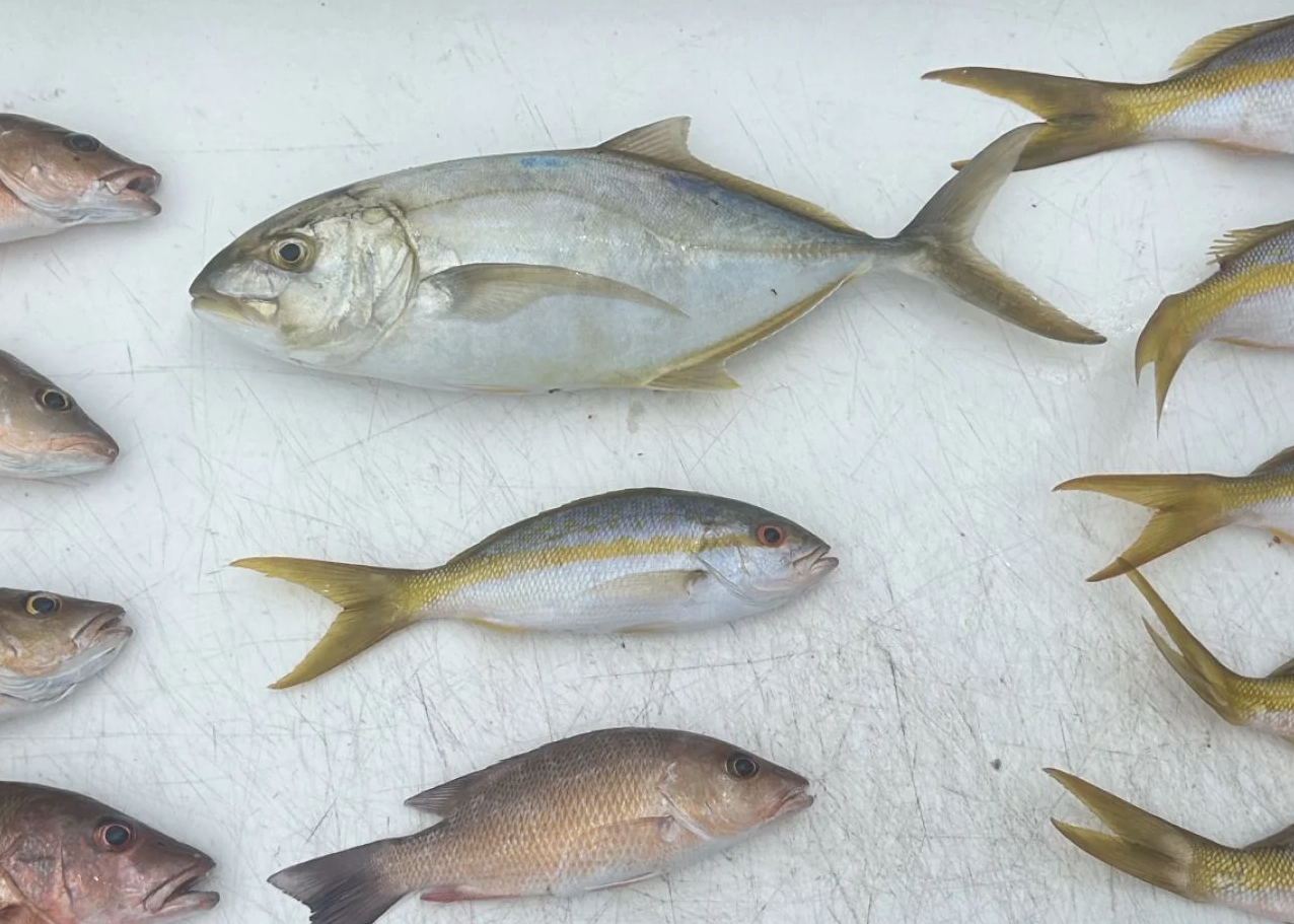 Gallery 5 e232e5a5d5a0aa8f3cf675c9407acb69 copy